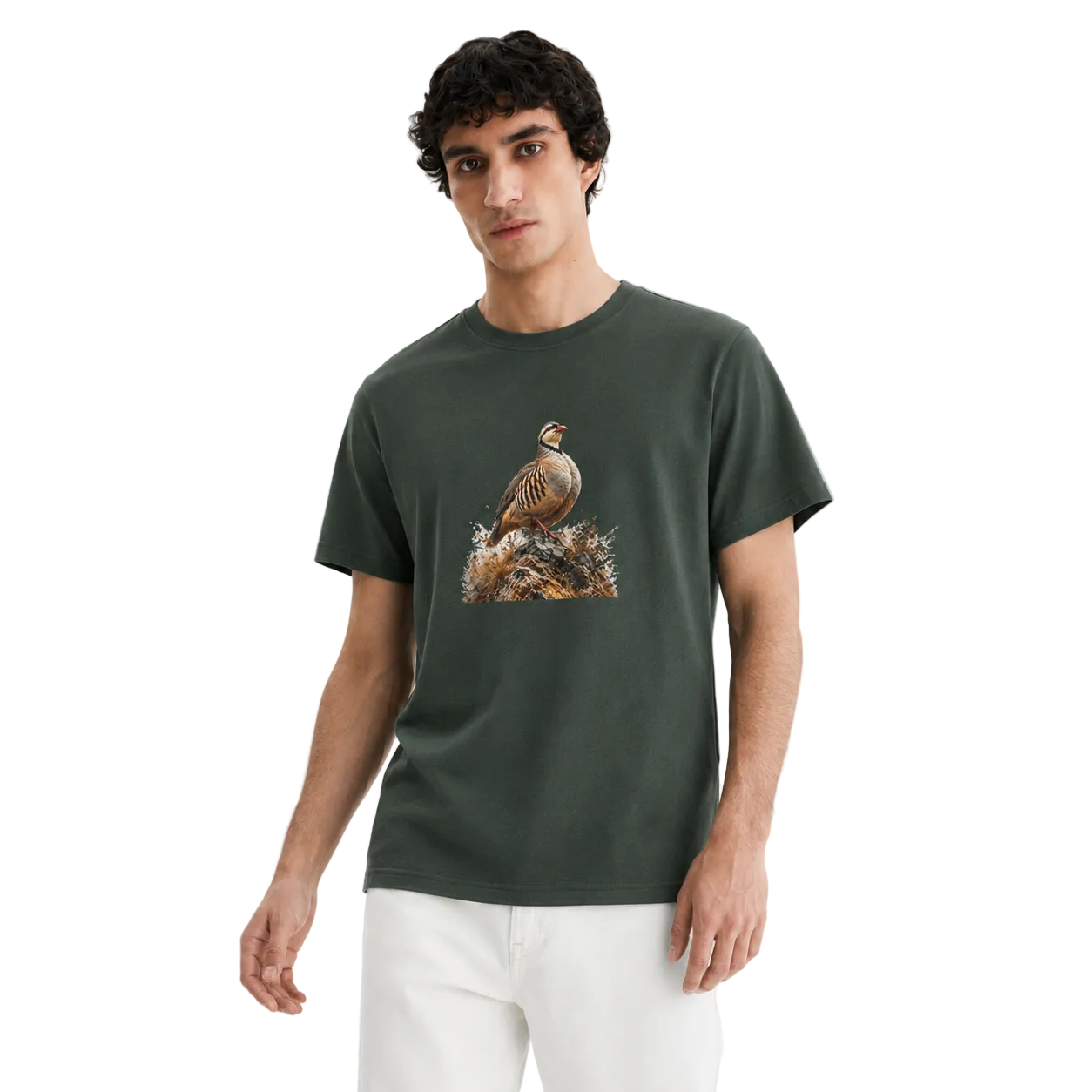 Hardstone Kınalı Keklik Baskılı %100 Pamuk T-Shirt - Haki model üzerinde görünüm